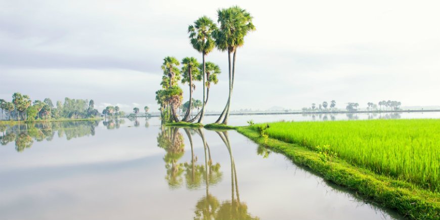 Mekong flod